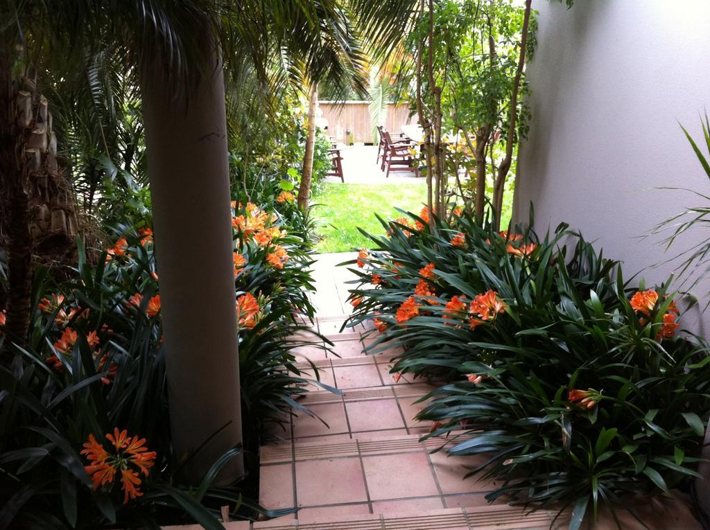 Palm Garden Apartment โอ๊คแลนด์ ภายนอก รูปภาพ